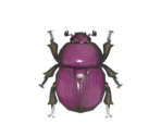 Earth-Boring Dung Beetle - Animal Crossing: New Horizons