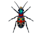 Tiger Beetle - Animal Crossing: New Horizons