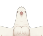 Pigeon - Genshin Impact