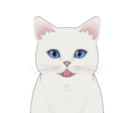 Cat - Genshin Impact