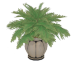 Potted Plant: Crystalline Breeze - Genshin Impact