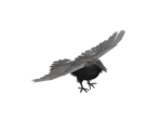Raven - Silent Hill: Downpour