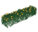 Blooming Hedge - Genshin Impact