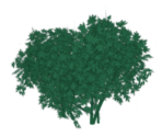 Green Fountain - Genshin Impact