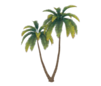 Silversand Coconut Tree - Genshin Impact