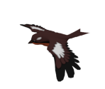 Bird - Dragon Ball Legends