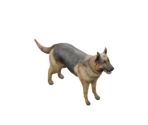 Dog - Silent Hill: Downpour