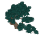 Peculiar Knotwood Tree - Genshin Impact
