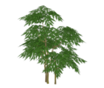Concealing Leaves - Genshin Impact