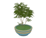 Potted Plant: Petite Perrenial - Genshin Impact