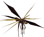 Vespoid - Monster Hunter: Freedom