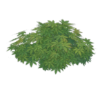 Overgrown Wildvest - Genshin Impact