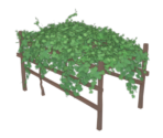 Lush Grapevine - Genshin Impact