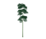 Qingce Jadestone Bamboo - Genshin Impact