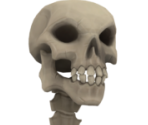 Skeleton Curse - Sea of Thieves