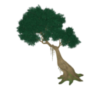 Slanted Meandering Wood - Genshin Impact