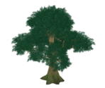 Verdant Meandering Wood - Genshin Impact