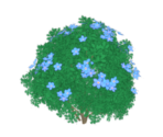 Blue Dewdrop - Genshin Impact