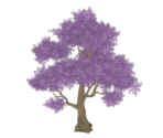 The Precious Pink of Spring - Genshin Impact