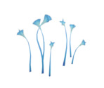 The Aster's Sigh - Genshin Impact