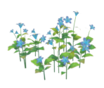 Of Promises Unkept the Night Flowers Speak - Genshin Impact