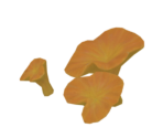 Withered Buttershroom - Genshin Impact