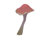 Mauve Lute's-Edge Shroom - Genshin Impact