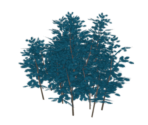 Of Bamboo Teal - Genshin Impact