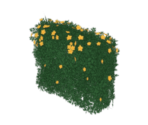 Of Fields Green: Starflower Fence - Genshin Impact