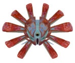 Hammerhead - Subnautica 2