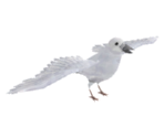 Bird - Let's Go Island: Lost On the Island of Tropics
