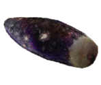 Sea Slug - Let's Go Island: Lost On the Island of Tropics