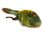 Tadpole - Let's Go Island: Lost On the Island of Tropics
