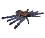 Cobalt Spider - Let's Go Island: Lost On the Island of Tropics