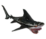 Shark - Let's Go Island: Lost On the Island of Tropics