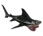 Boss Shark - Let's Go Island: Lost On the Island of Tropics