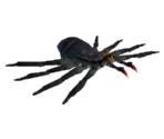 Water Spider - Let's Go Island: Lost On the Island of Tropics
