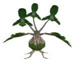 Bonsai (Plant/???) - Monster Rancher