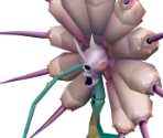 Unknown 2 - Final Fantasy VII
