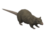 Giant Rat - Baldur's Gate: Dark Alliance
