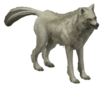 Wolf - Baldur's Gate: Dark Alliance