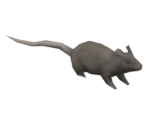Ambient Rat - Baldur's Gate: Dark Alliance