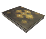 Unused Book Item 1 - Koudelka