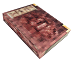 Unused Book Item 3 - Koudelka