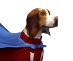 Underdog - Underdog: City Sweep