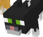 Minecraft Pets - Avatar Marketplace