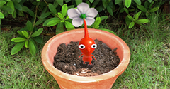 Photos with Pikmin - Photos with Pikmin