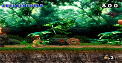 Adventure Island - Adventure Island