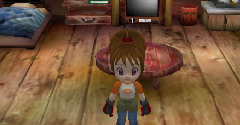 Harvest Moon: Another Wonderful Life - Harvest Moon: Another Wonderful Life