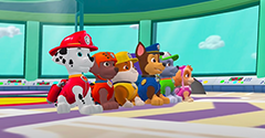 PAW Patrol Rescue World - PAW Patrol Rescue World